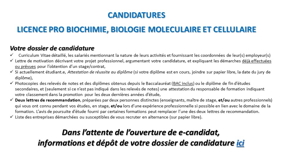 Dossier candidature e-candidat